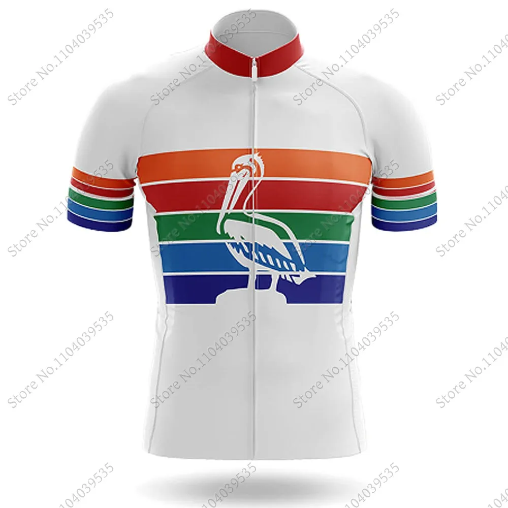 Футболка мужская велосипедная с коротким рукавом и шорты