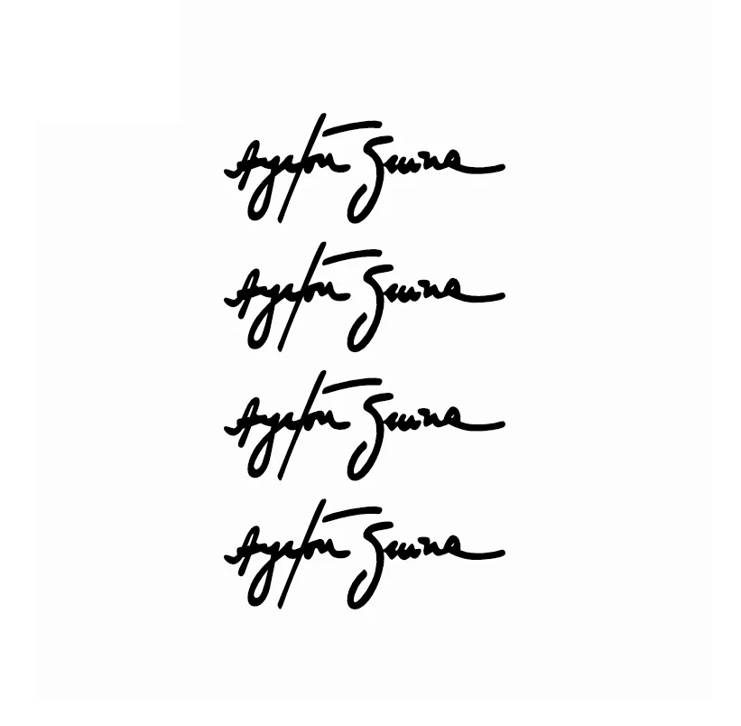 Стикеры автомобильные с надписью Айртон Сенна 10 см |