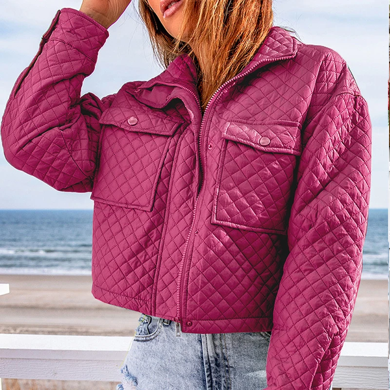 

New Turn-down Collar Long Sleeve Solid Jackets Ladies Zipper Chic Button Pocket Short Coat Vintage Loose Office Commuter Outwear