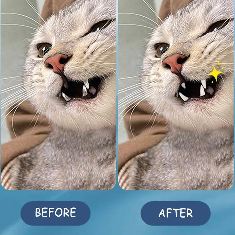 do czyszczenia zębów psa Chusteczki Skuteczne nakładki Zestaw Przenośna rękawica