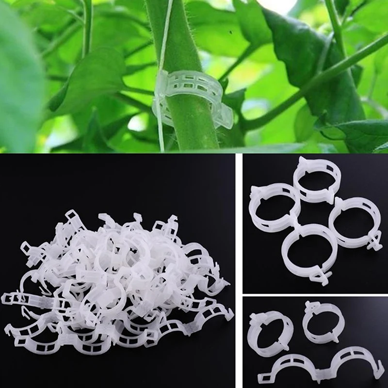 

100Pcs Plastic Plant Support Clips Reusable Plant Vine Fixed Support Clips Plants Stems Support Vines Grow Upright Twine Tool