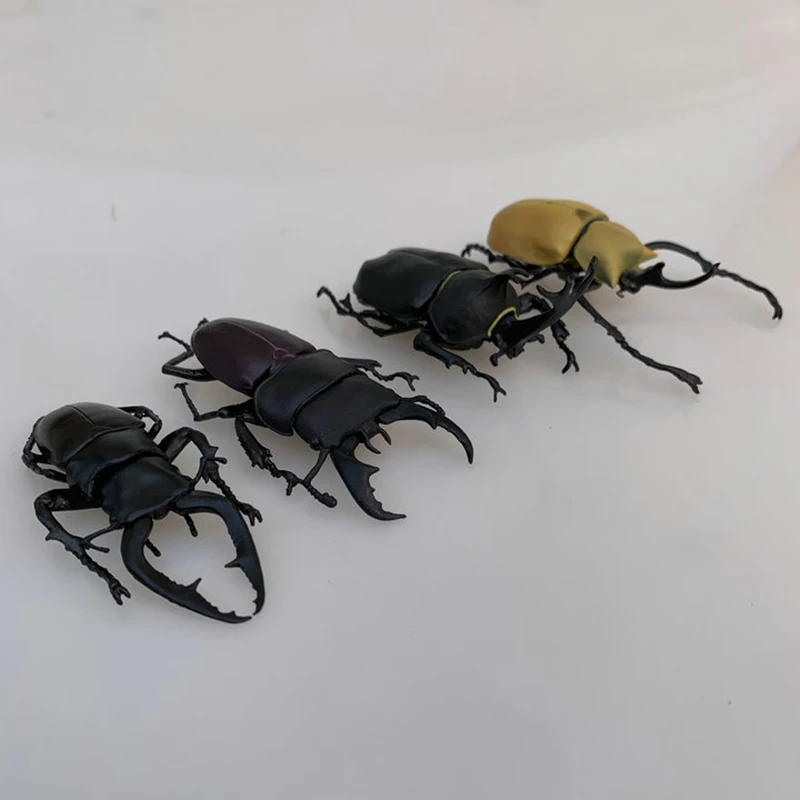 

Insect Simulation Model Action Figure Unicorn Beetle Stag Beetle Great Halberd Beetle Model Desktop Ornament Toys