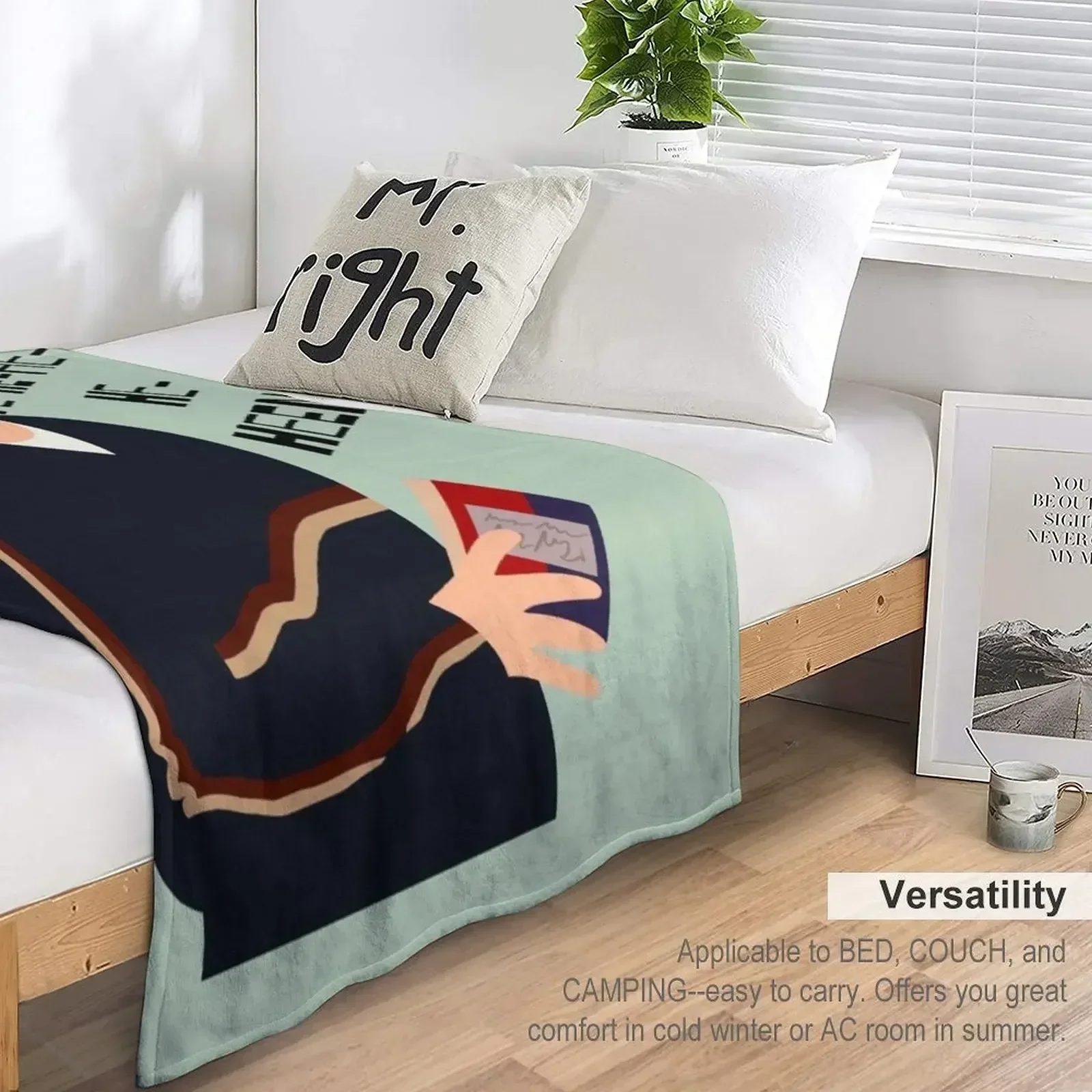 Фени! Плед диван-кровать Тонкие фланелевые одеяла