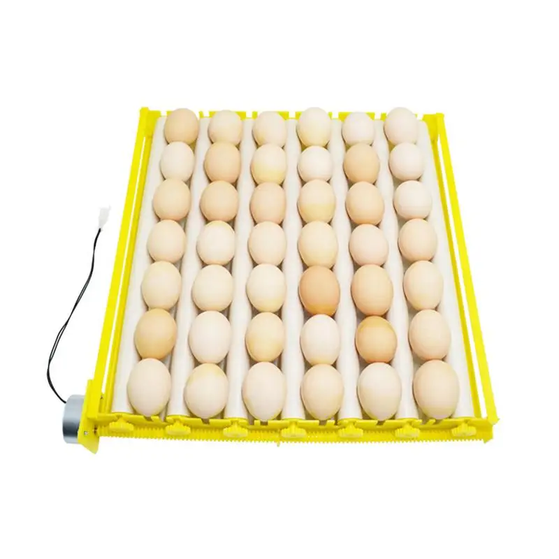 

Automatic Egg Turner Automatic Roller Egg Tray For Incubator Eggs Incubator Turning Tray Tool Turner Tray With Automatic Turning