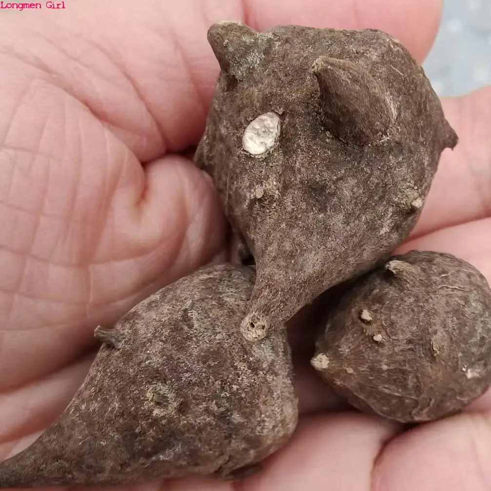 

Натуральный корень аконита для рукоделия