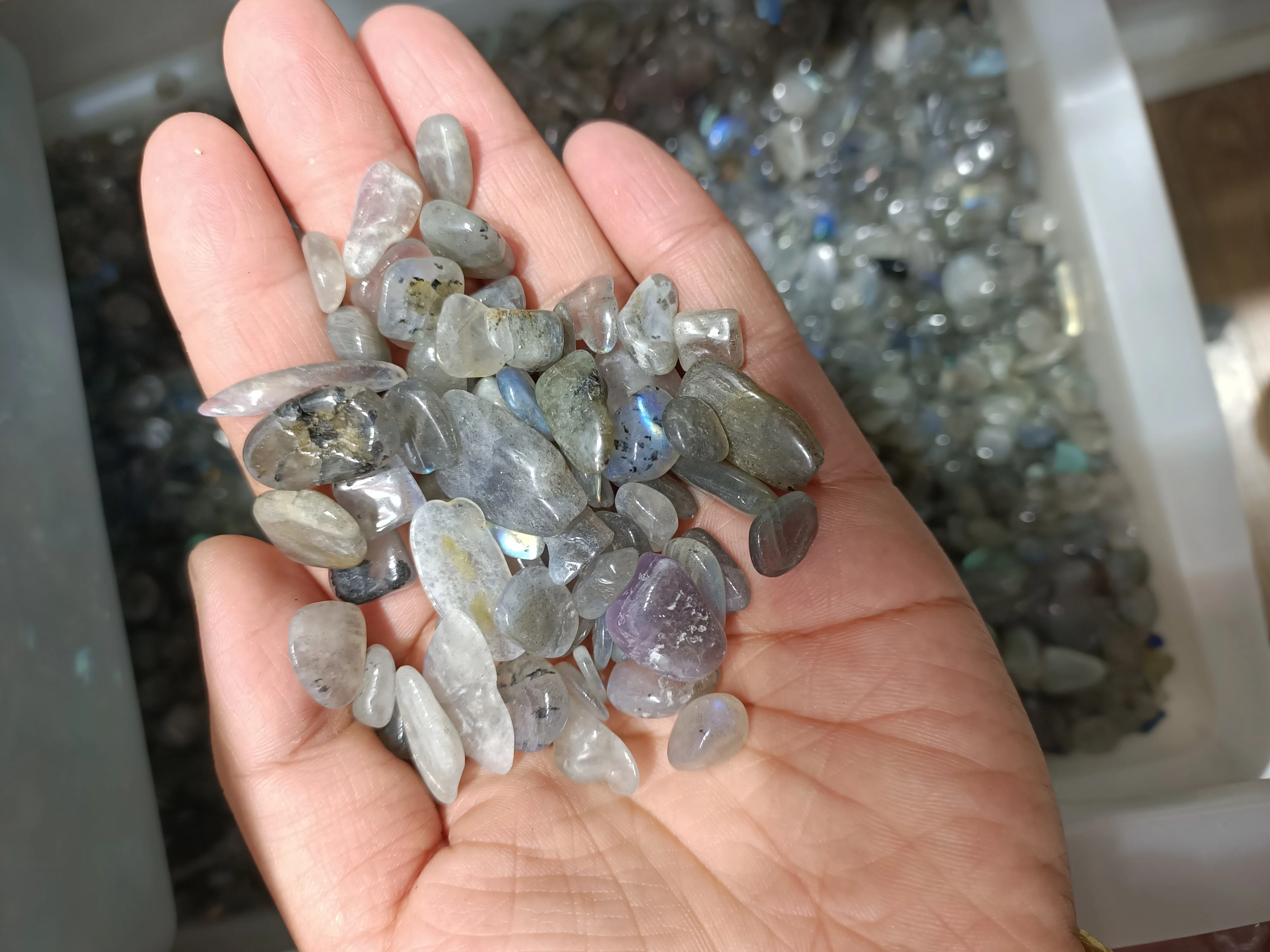 

Natural Crystal Gray Labradorite Moonstone Gravel Rock Quartz Raw Stones Aquarium Decoration Gift