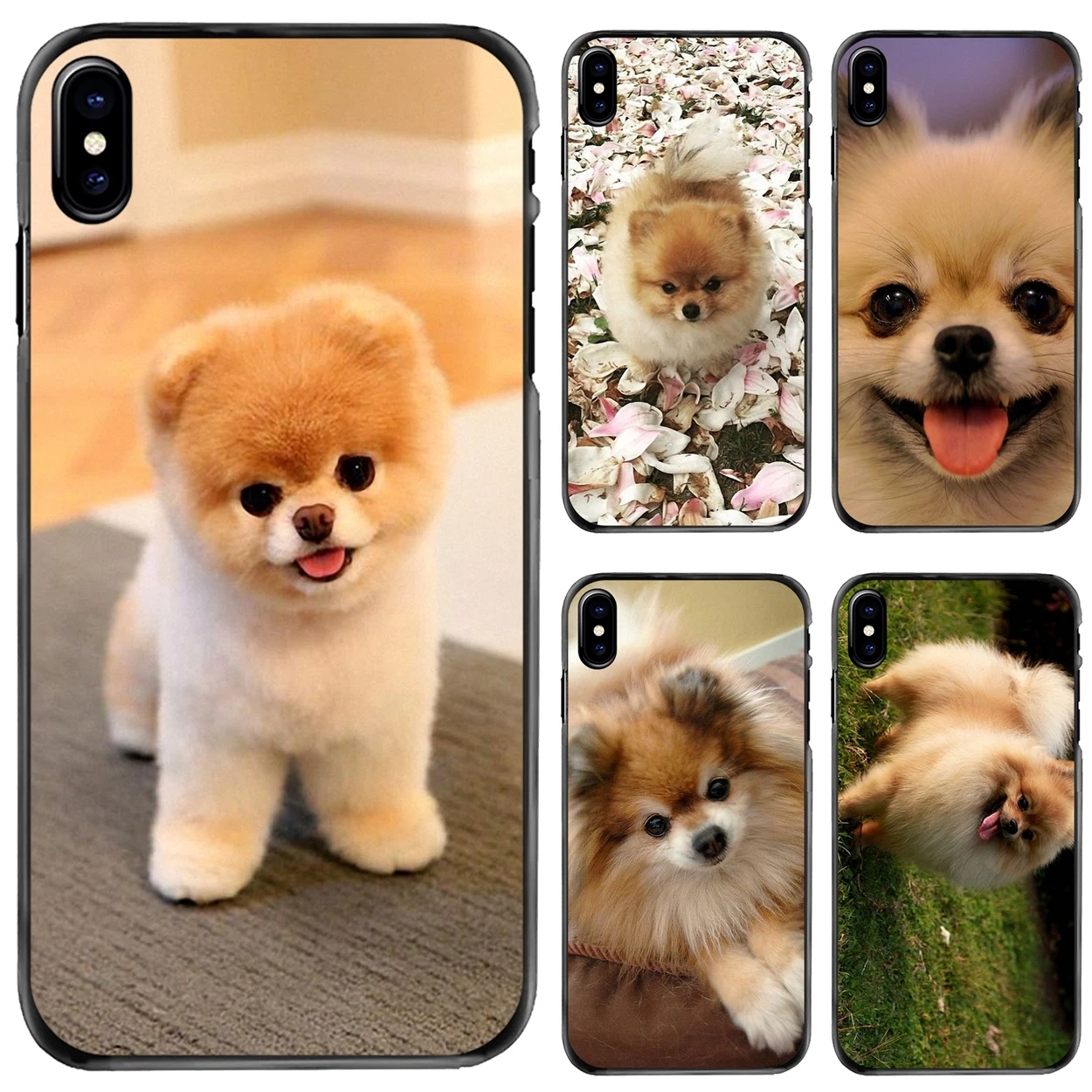 

Micro Teacup Pomeranian Puppy Dogs Hard Case Cover For Apple iPhone 11 12 13 14 Pro MAX Mini 5 5S SE 6 6S 7 8 Plus 10 X XR XS