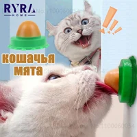 Подборка товаров для ваших четвероногих детей