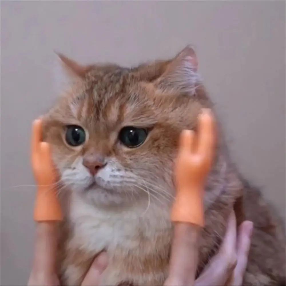 

Mini Hands Cat Massage Tool Funny Model Tiny Hands Cat Toy Silicone Gloves Finger Gloves Little Finger
