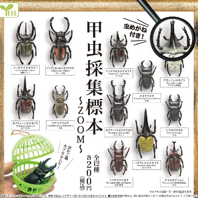 

Japanese Yell Insect Model Decorations Simulation Unicorn Toys Beetle Collection Specimen Gashapon Capsule Toys