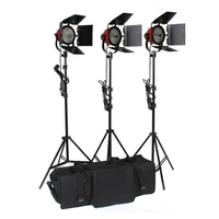 wholesale continuous video light red head film photo 800 w studio fill light for photo video 800w focus adjustment knob