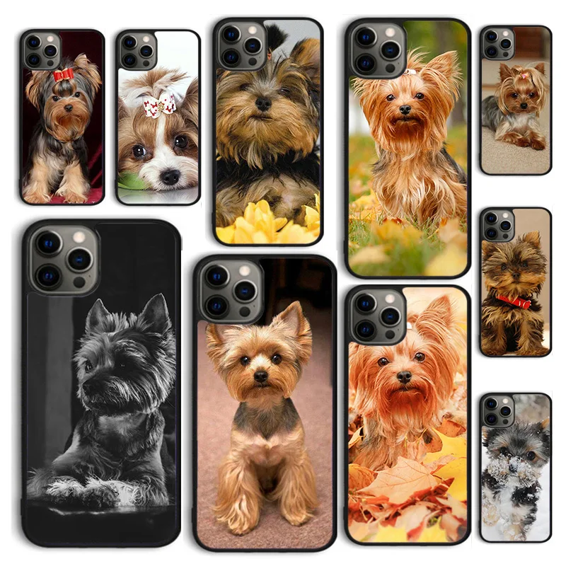 Autumu Mini Yorkshire Terrier Phone Case Cover for iPhone 16 15 12 mini 11 13 14 Pro Max SE 2020 Apple 6S 7 8 Plus Coque