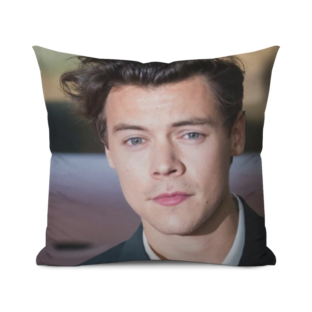 Pillow-Cover-Customize-Harry-Style-Pillowcase Modern Home Decorative Pillow Case For Living Room