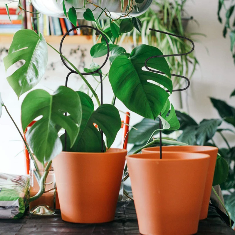 

Garden Support Stake 3 Pcs Metal Garden Plants Pot Trellis Decorative Cane Vines Support Ring For Climbing Plants