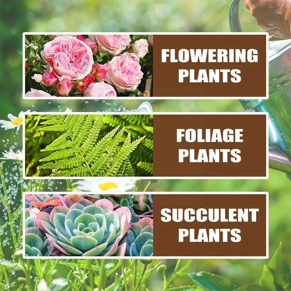 Liquid Plant Rapid Rooting Agent Strong Seedling Protein Regulator Amino Acid Nutrient For Country House And Pl W4G8 |