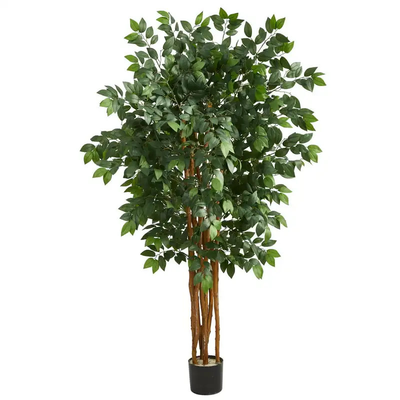 

Sakaki Artificial Tree with Plastic Pot