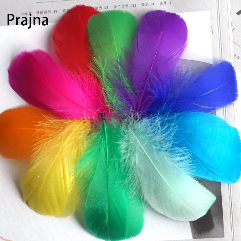 

100pcs/lot 5-8cm 8-12cm Natural Goose Feathers Plumes Colourful Swan Feather Plume for Home Decoration Craft DIY Jewelry Decor