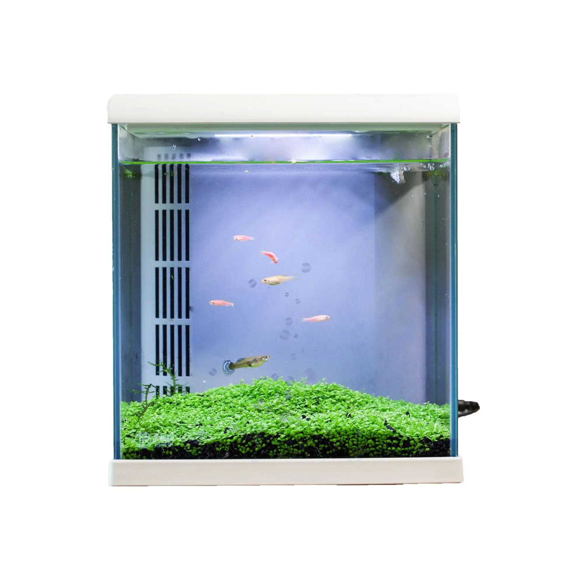 

Intelligent ecological fish tank free aquarium creative self-cleaning small desktop decorative glass tank