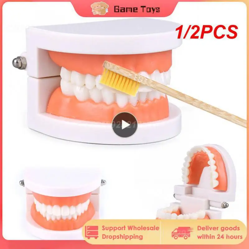 

1/2PCS Montessori Educational Toys for Children Early Learning Kids Intelligence Brushing Tooth Teaching Aids Simulated