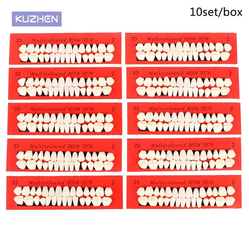 

10sets Universal Resi False Teeth Resin Teeth Model Durable Dentures Dental Material Teeth Teaching Model Dedicated Teeth