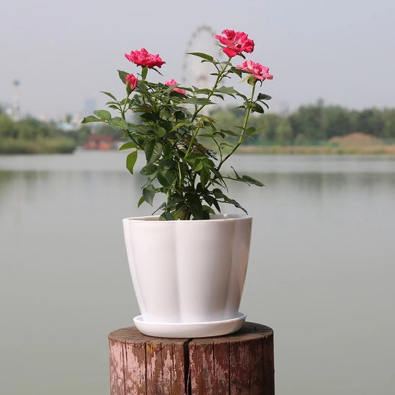 

Imitation Ceramic Plastic Flower Plants Pots Thicken Succulents Nursery Garden Planter Home Office Decorative Crafts