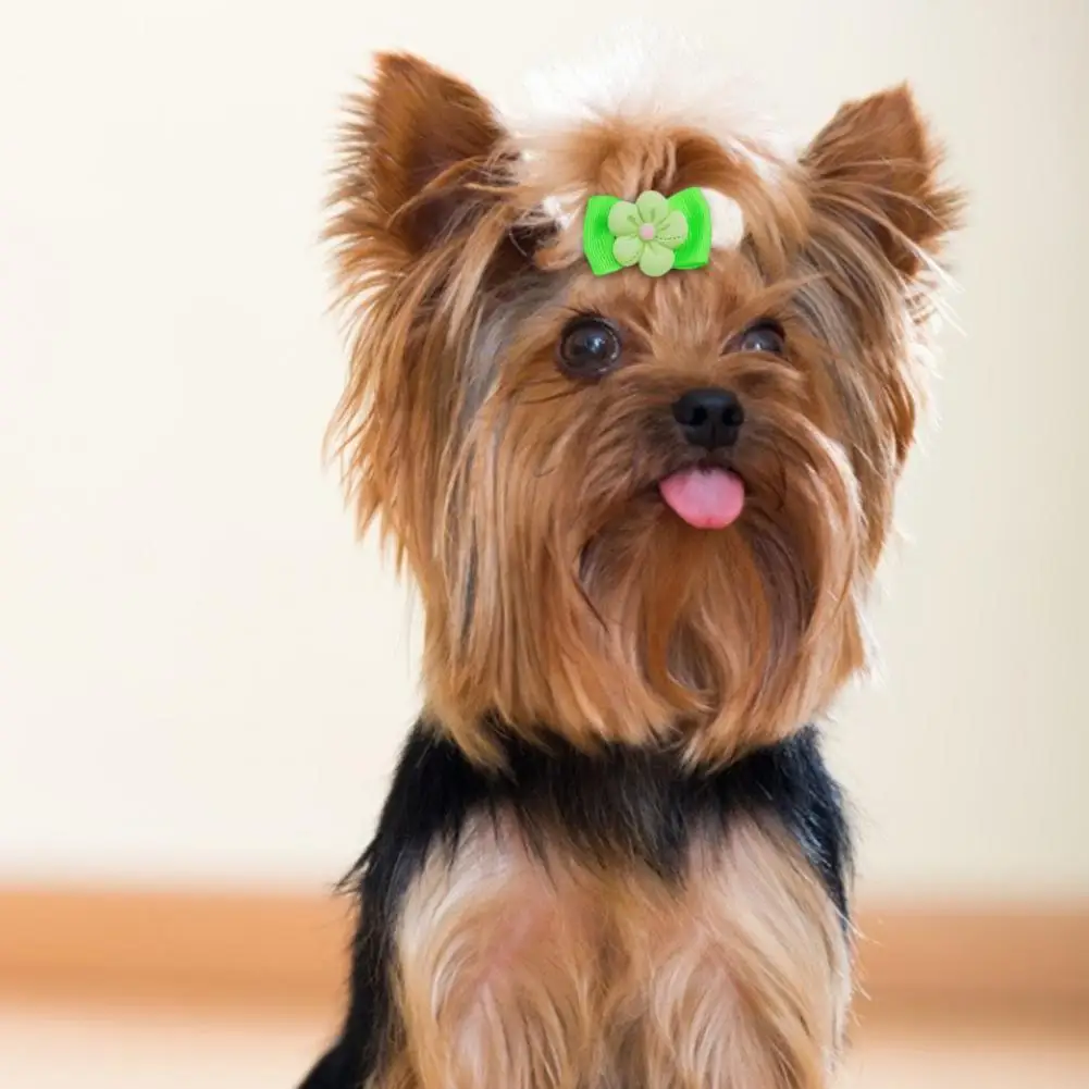 

Легкие 50 шт./компл. Изысканные милые украшения-бабочки для собак, милый головной убор для домашнего использования