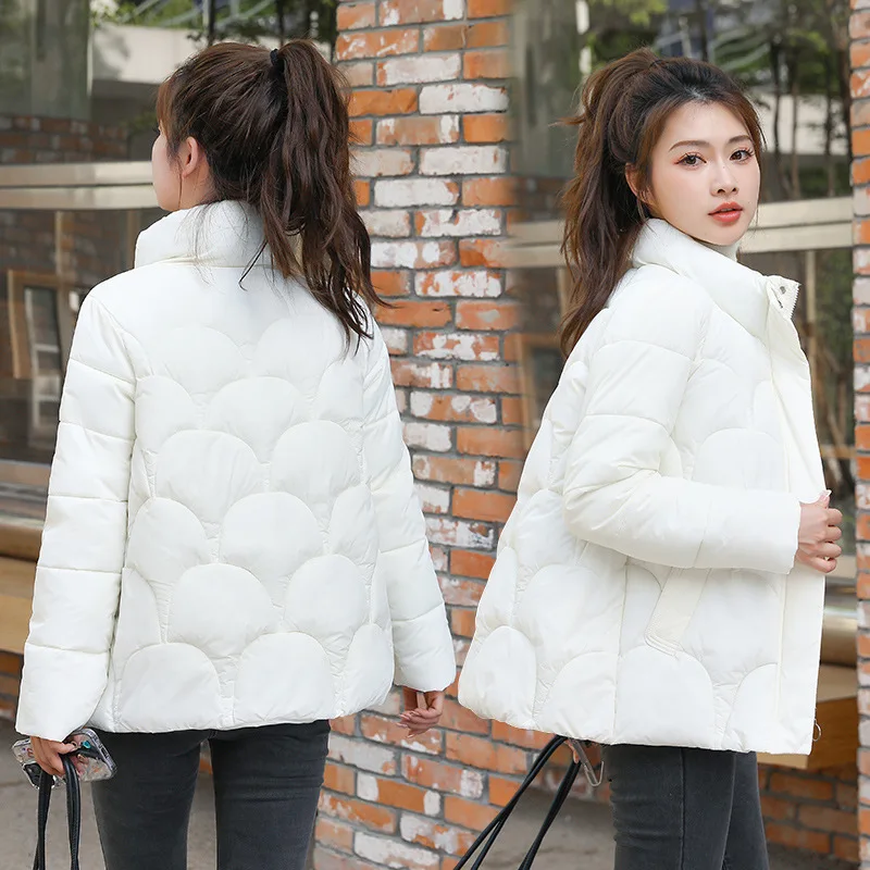 PinkyIsBlack 2023 New Autumn Thick Down Cotton Parkas Women Stand Collar Jacket Winter Coat Casual Basic Short Korean Outwear