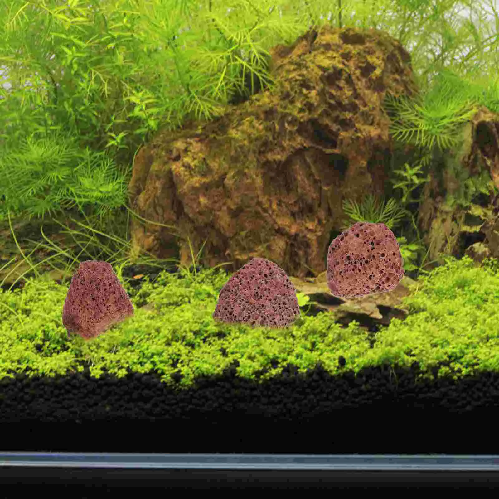 Дракон Камень Аквариумные Скалы Аквариум Аквариумы Вулканическая Лава Фильтр