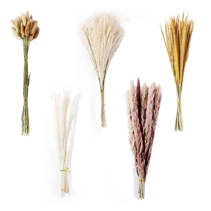 

Сушеная пампасная трава 120 шт., высокий декор в стиле бохо для домашней свадебной вечеринки, сушеные цветы, композиции, пампасная трава, трос...