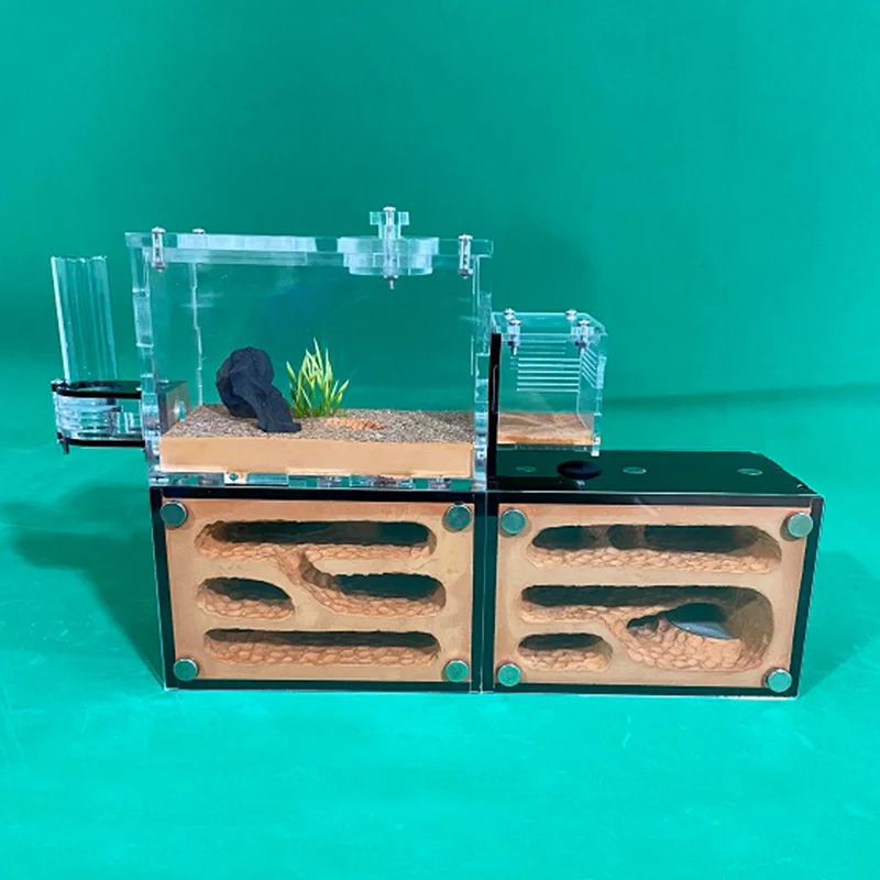 

Ecological Ant Farm Unlimited Expansion Ant Nest Yellow Mud Moisturize Anthill Farm Ants House Acrylic Box Ant kennel Workshop