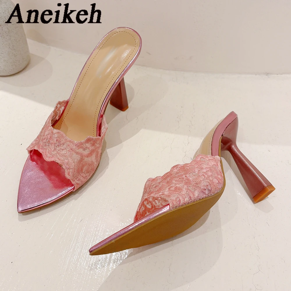 Женские шлепанцы с острым носком Aneikeh кружевные дизайнерские пикантные летние