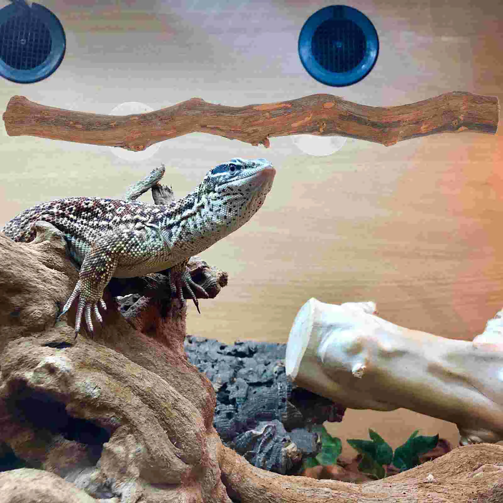 Аквариумная деревянная ящерица стоячая веревка для домашних животных змей