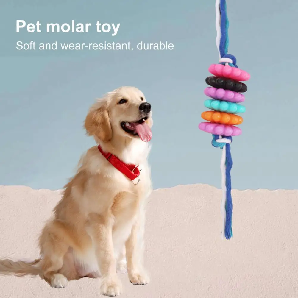 Promote Oral Hygiene Dog Toy Dog Toy Bundle Durable Teething