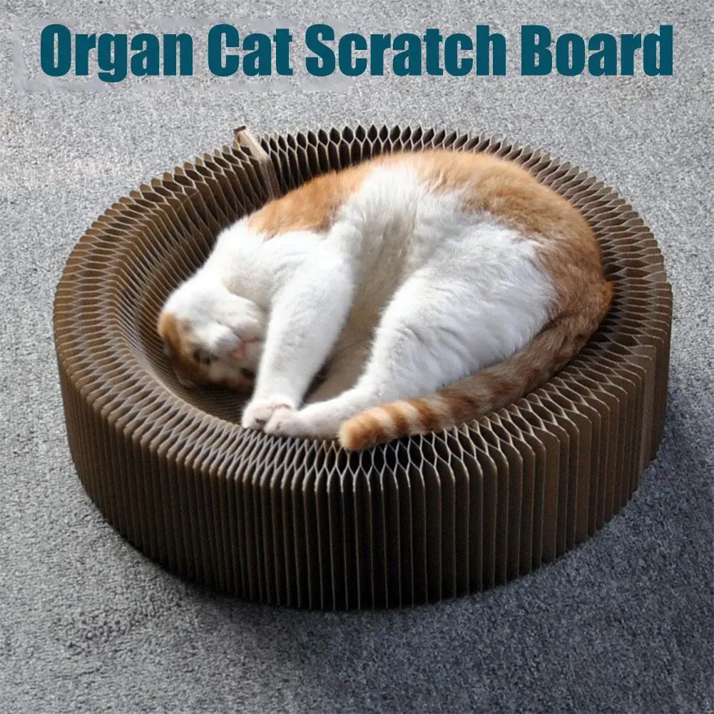 

Magic Organ Cat Scratch Board Cat Toy With Bell Cat Grinding Claw Cat Climbing Frame Cat Scratch Toy