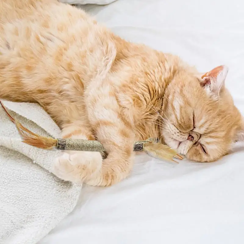 Кошачья мята палочки для чистки зубов кошек натуральная сизалевая веревка перо