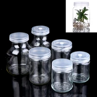 high quality plants glass jars for bottle seedling tissue culture high temperature resistance