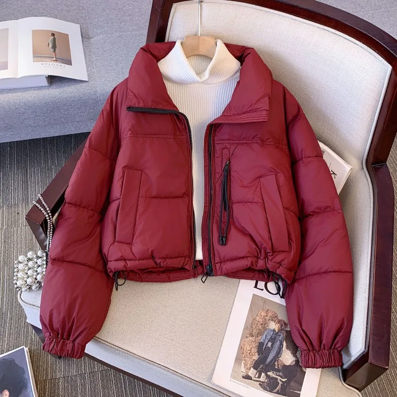 Короткий пуховик одежда с хлопковой подкладкой для женщин новинка 2024 зимняя