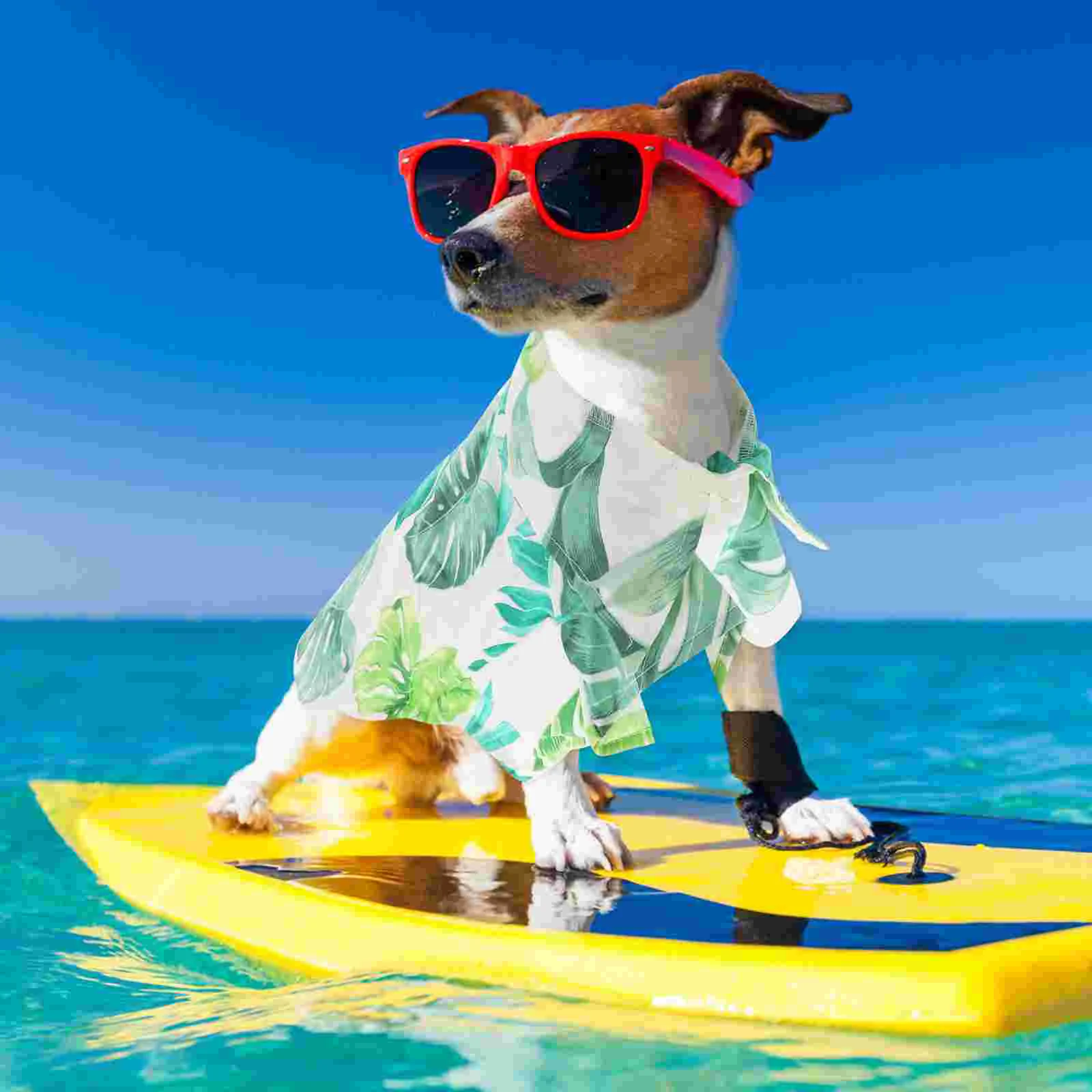 

1 _ рубашка, креативный Забавный костюм для питомца, повседневная одежда для собаки на открытом воздухе