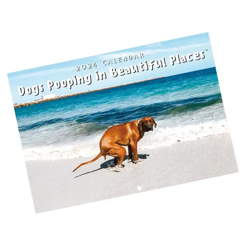 

2024 Wall Calendar Dog Pooping Monthly 2024 Wall Calendar Funny Hangable Paper Calendar For Home Hostel Living Room Hotel