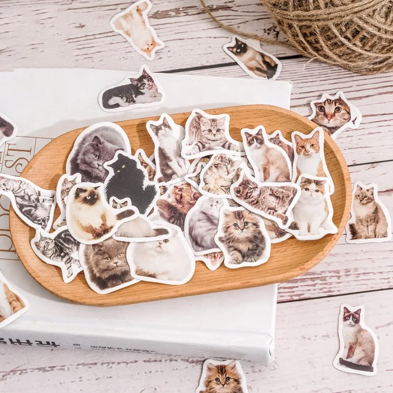 

45pc/set Cute Cat Sticker Real Shot Kitten Sticker Kawaii Cat Sticker Lovely Stationery Sticker DIY Decorative Scrapbook Journal