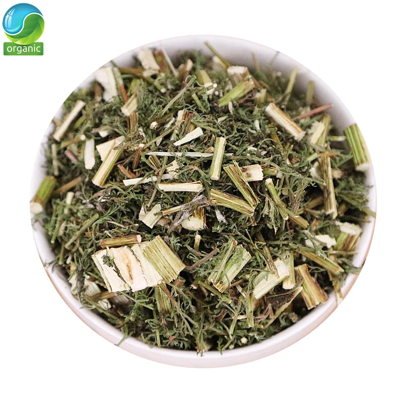 

100% Artemisia Annua Sweet Annie Wormwood Tea Medicinal Herb Southernwood Abrotanum Southernwo Qing Hao Artemmisiae