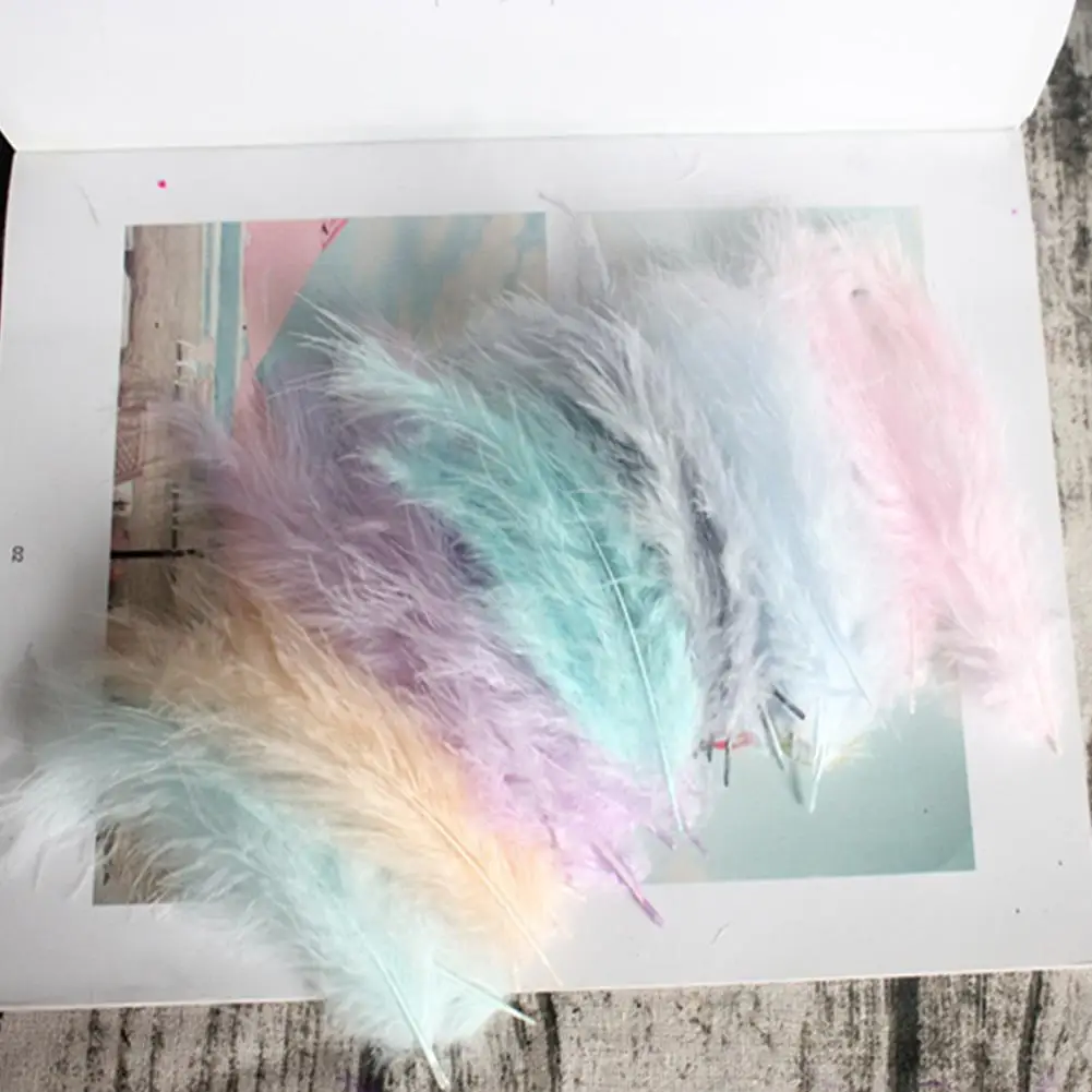 

[ Ready Stock ] 50Pcs 4-6 Inches10-15cm Multicolor Feather DIY Craft Wedding Dreamcatcher Decoration