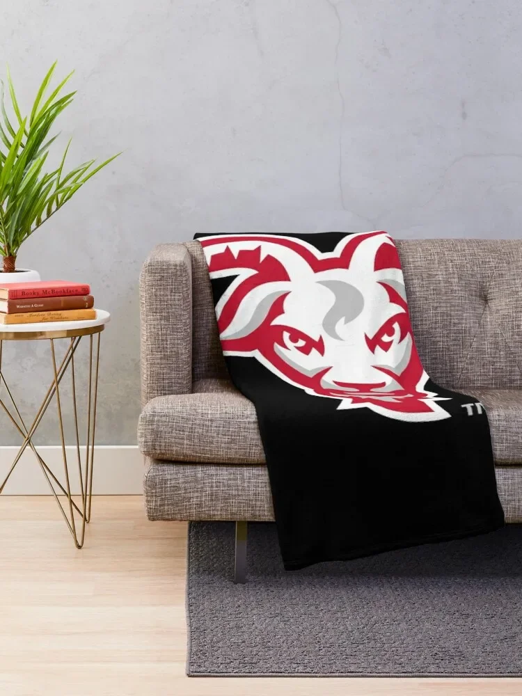 Инженеры wpi Worcester одеяло мягкие одеяла для сна