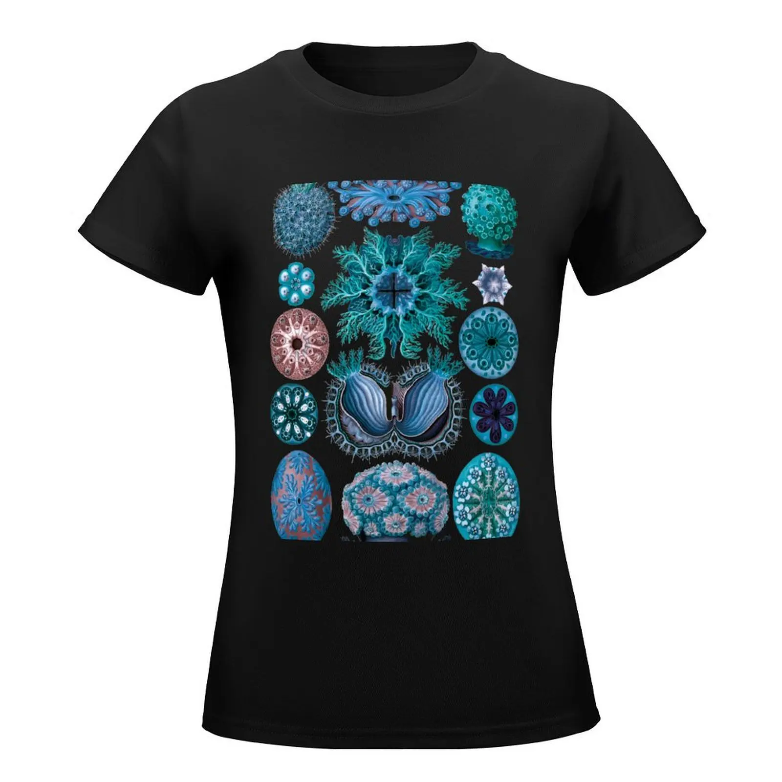 Футболка летняя голубая с морским сквиртом Эрнст хаеккель асцит эстетическая