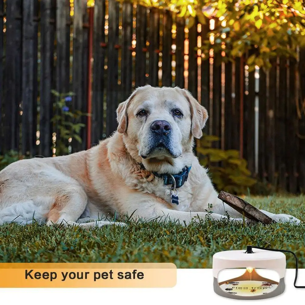 

Sticky Flea Trap Dome Flea Bed Bug Trap With 2 Glue Odorless Killer Flea Light Discs Trap Trap Pad Non-toxic Flea K6m1