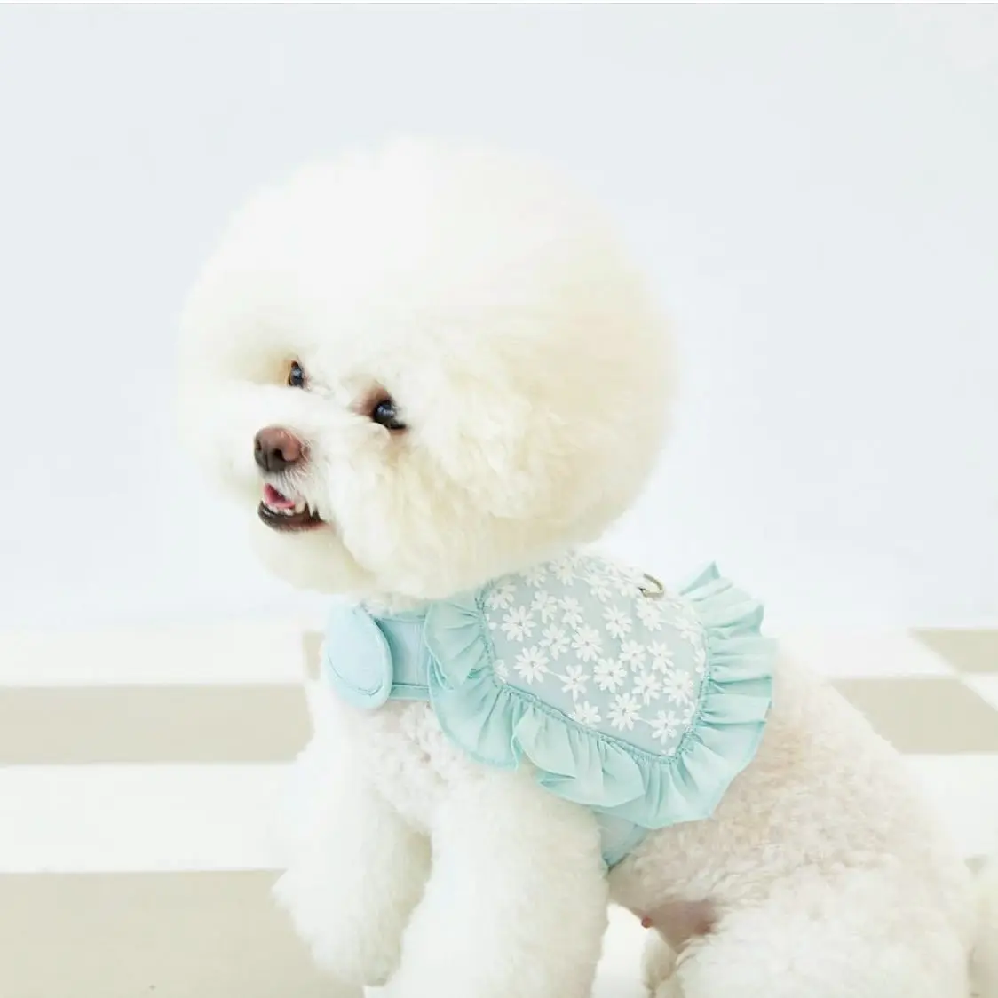 

Sweet Pet Dog Harness for Small Dog Teddy Breathable Mesh Chest Cat Leash Vest Cute Pet Traction Rope with Embroidery Flower
