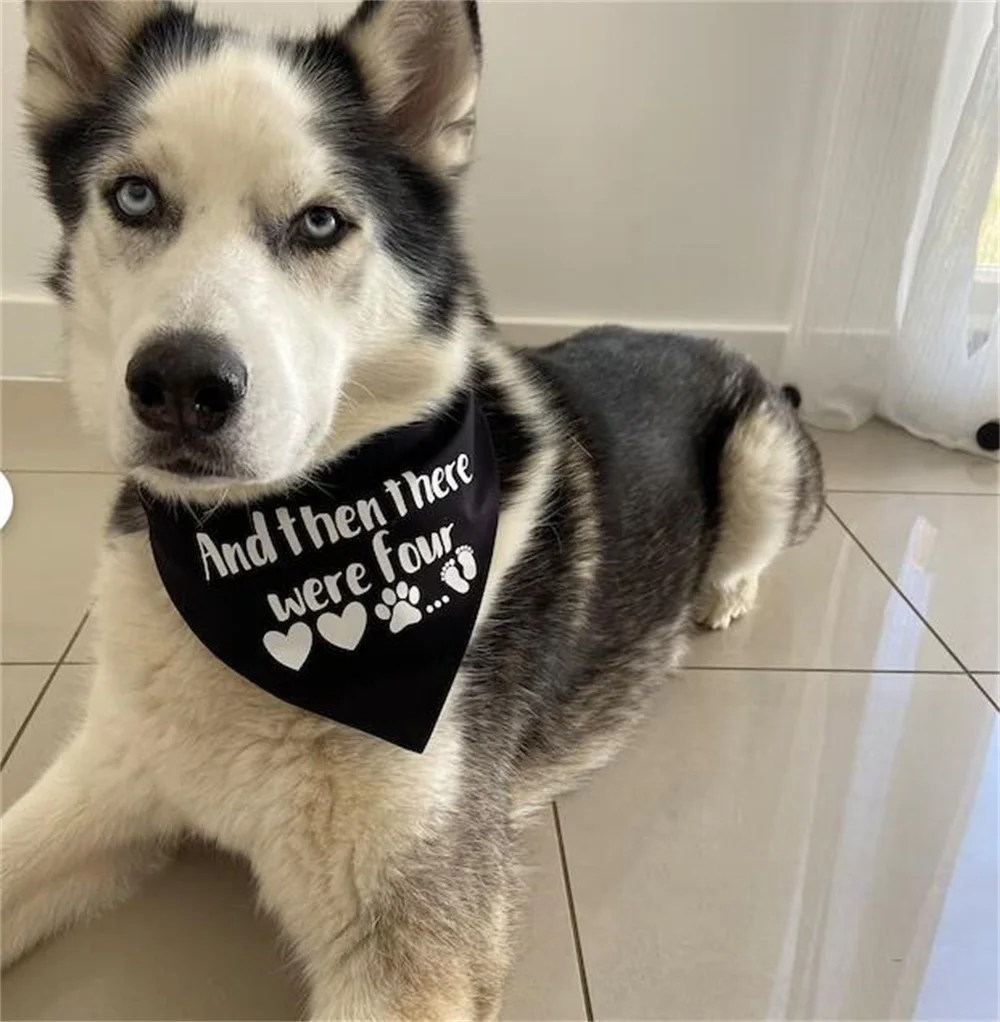 И затем была четыре собаки бандана объявление малыша ошейник беременности