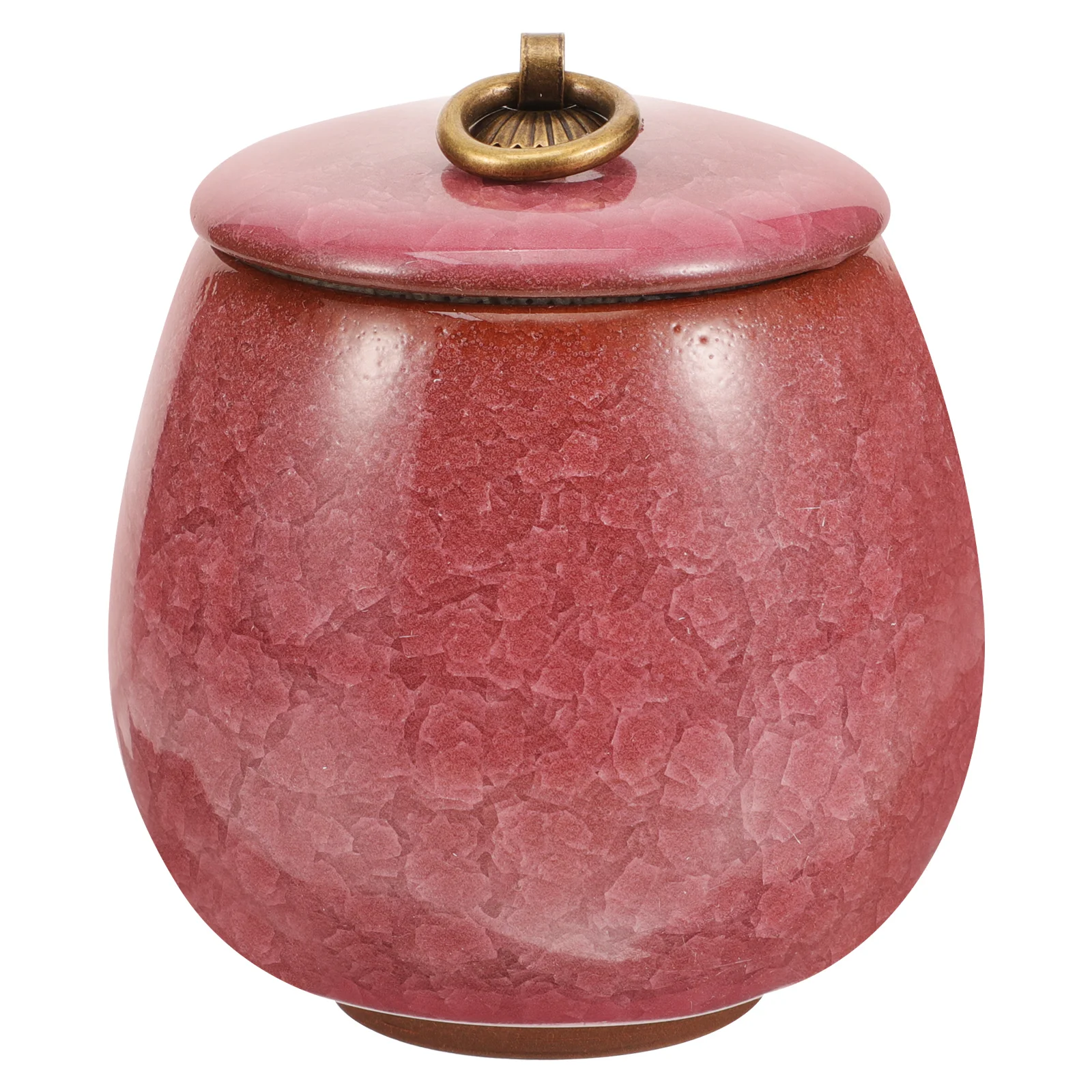 

Ceramic Pets Urn Cinerary Casket Memorial Cremated Box Small Cat Ashes Keepsake Container