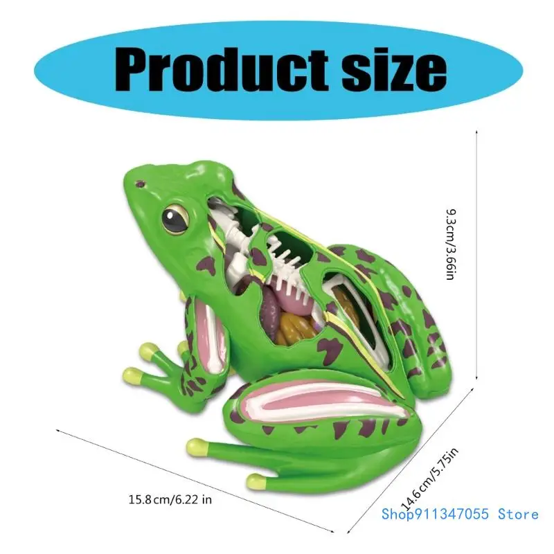 Биологический технологический гаджет учебные пособия научная игрушка