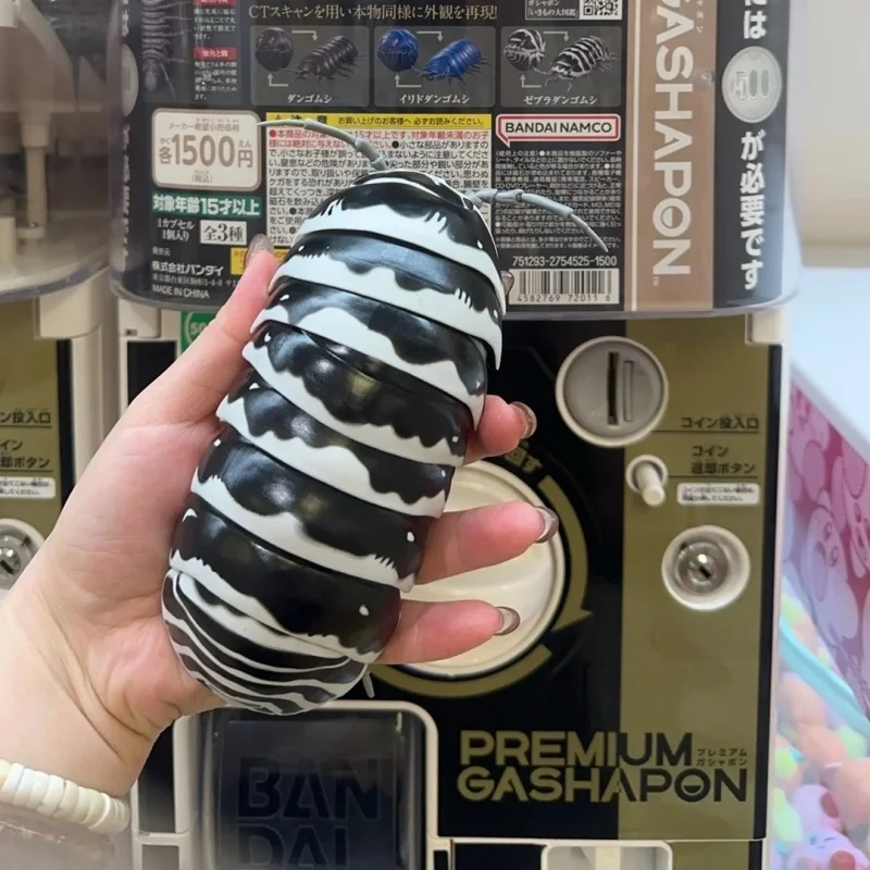 Фото Коллекционная подвижная фигурка Bandai Ikimono Daizukan Pill Bug Advance: реалистичный изопод Ролли-Полли для декора стола, в наличии №1